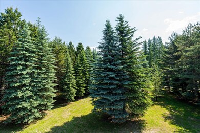 72 Pilots Trail, Bigfork, MT 59911 - photo 4