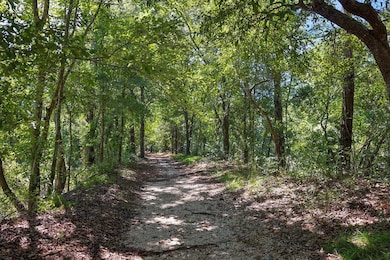 0 Highway 190 Hwy E unit 2469869, Robert, LA 70455 - photo 3