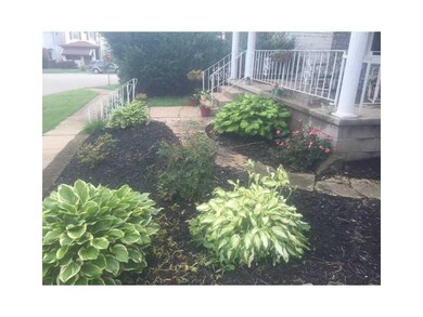 Yard/Garden.