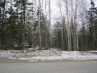 Winter Lot from Husky Avenue