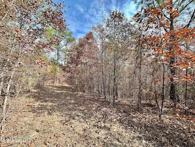 1 County Road 3122, McCool, MS 39108 - photo 5