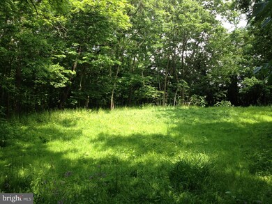 285 White Post Rd, White Post, VA 22663 - photo 3