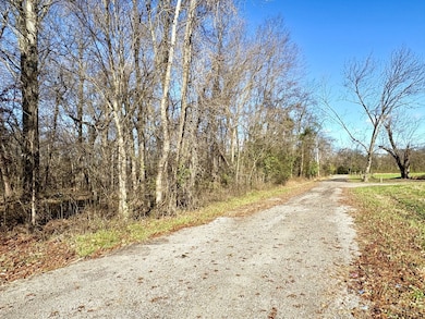 5144 Batchelor St, Clarksville, TN 37043 - photo 3