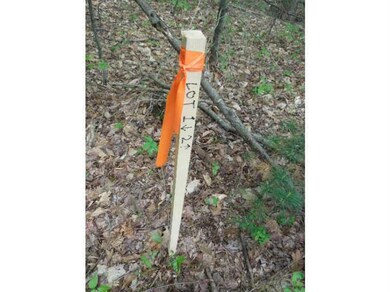 0 State Road Lot 1, Eliot, ME 03903 - photo 2