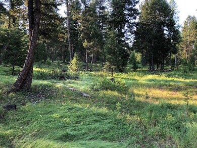 226 Bison Circle Dr, Kalispell, MT 59901 - photo 6