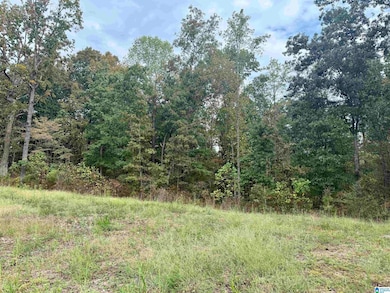 00 Hickory Ridge Rd unit 40, Oneonta, AL 35121 - photo 2