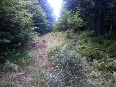 0 Old Rindge Rd unit 4512289, Fitzwilliam, NH 03447 - photo 2