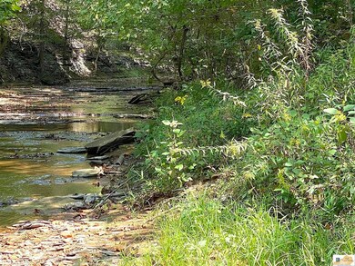 4.18 AC Cape Rd, Jamestown, KY 42629 - photo 7