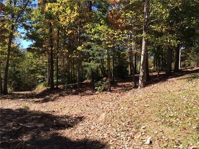 16 Smokey Ridge Trail unit LOT 172, Arden, NC 28704 - photo 7