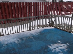 DSCF1689