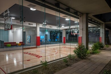 Basketball and Pickleball