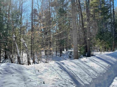 205 Pine Hill Rd, Ossipee, NH 03890 - photo 2