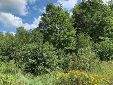 W16471 Old 14 Rd, Rice Lake, WI 54868 - photo 3