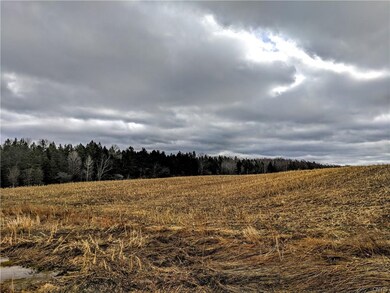 Farm land that runs along the west side of the pro