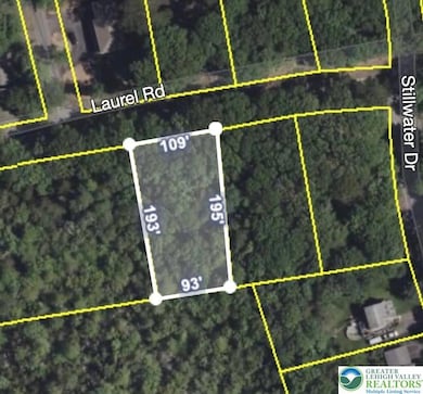 623 Laurel Rd, Pocono Summit, PA 18346 - photo 4