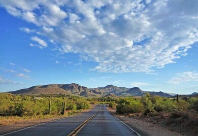 The drive as you approach