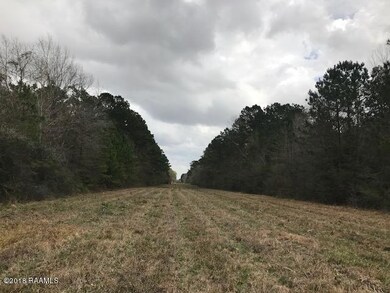IMG_4433 8.5 acre