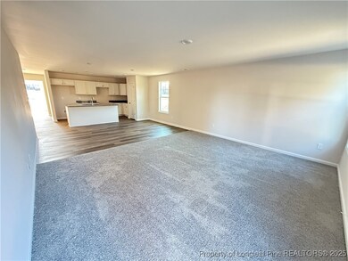 194 Dalton Dr, Lumber Bridge, NC 28357 - photo 4