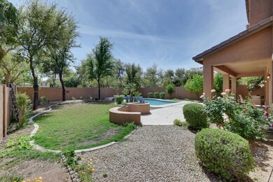 Backyard_2