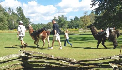 Par 3 18 hole golf course with Llama caddies!