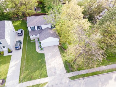 1730 Robindale St, Wickliffe, OH 44092 - photo 2