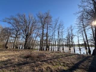 11720 Hideaway Rd, Mer Rouge, LA 71261 - photo 4