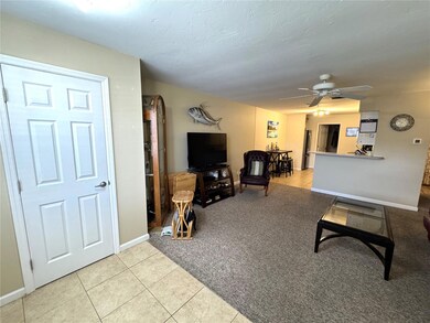4158 66th Street Cir W unit 4158, Bradenton, FL 34209 - photo 3
