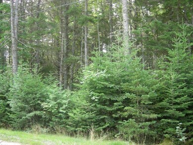 0A Joy Way, Ellsworth, ME 04605 - photo 2