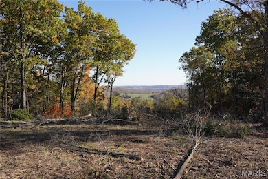 20 Acres Highway P, Wentzville Township, MO 65069 - photo 3