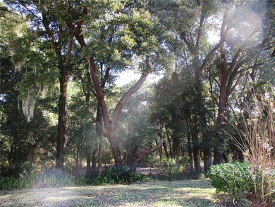 14652 SW 112th Cir, Dunnellon, FL 34432 - photo 2