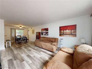 586 Birch Ave, Euclid, OH 44132 - photo 3