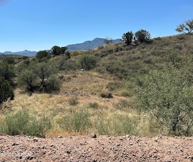 TBD Proctor Ln unit 4, Patagonia, AZ 85624 - photo 3