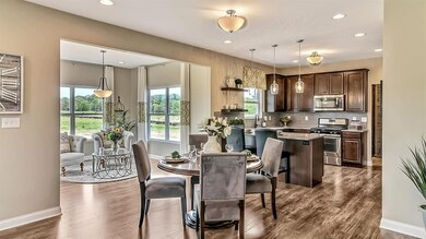 8745 Burr Ridge Cir, Crown Point, IN 46307 - photo 7