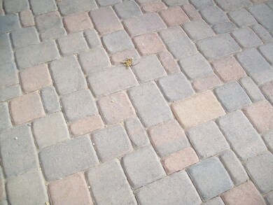 STONE PAVER
