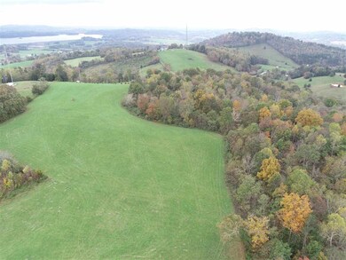 137 Oak Rd, Rutledge, TN 37861 - photo 6