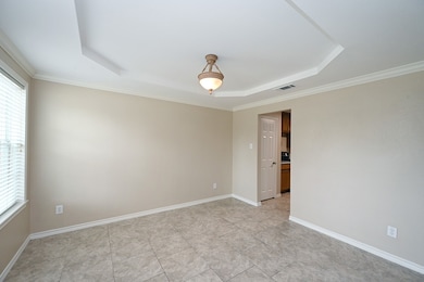 Spare room featuring a tray ceiling, plenty of natural light, and ornamental molding