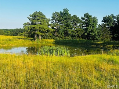 TRACT 11A Audrain Road 935, Salt River Township, MO 65265 - photo 7