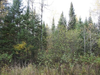 ON Cth T, Tripoli, WI 54564 - photo 2