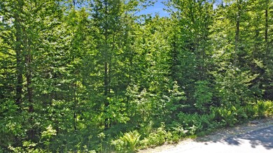 2A Old Sumner Rd, Buckfield, ME 04220 - photo 7