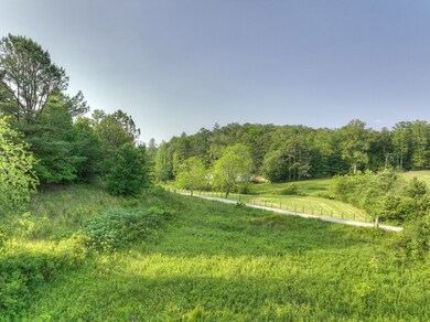 0 Murphy Hwy unit 402757, Mineral Bluff, GA 30559 - photo 3