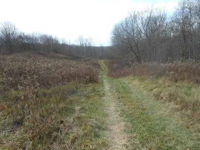 24070 Us Highway 52, Laurel, IN 47024 - photo 3