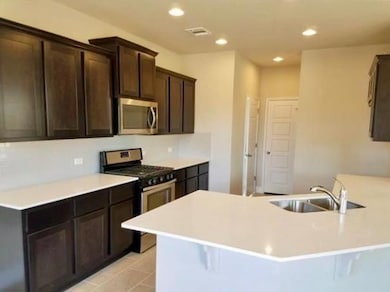 1036 Chad Loop, Round Rock, TX 78665 - photo 4