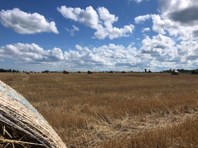 V/L 40AC Long Rapids Rd, Lachine, MI 49753 - photo 4