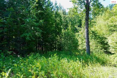 721 Wood View Rd, Sandpoint, ID 83864 - photo 4