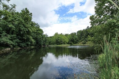 3-IMG_8782
