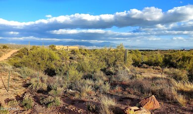 136th N National Forest Frontage St, Scottsdale, AZ 85262 - photo 4