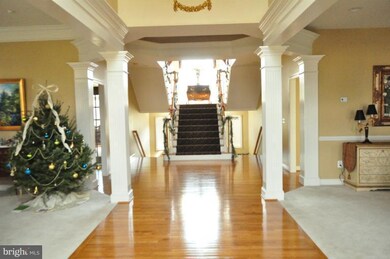 22038 Auction Barn Dr, Ashburn, VA 20148 - photo 4