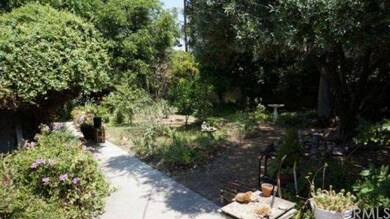 Large backyard