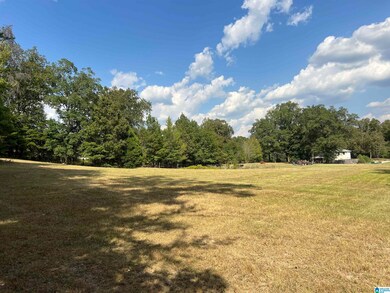 6809 Lou George Loop, Bessemer, AL 35022 - photo 5