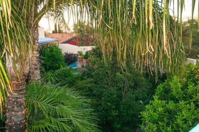 Lush Entry Garden